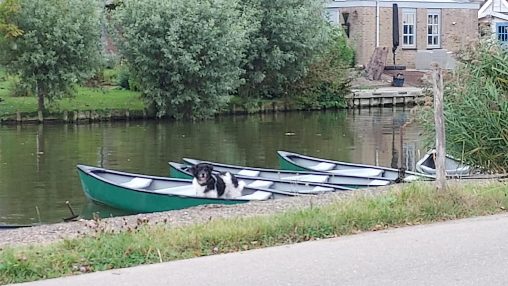 Buitenplaats Medemblik Exterior photo